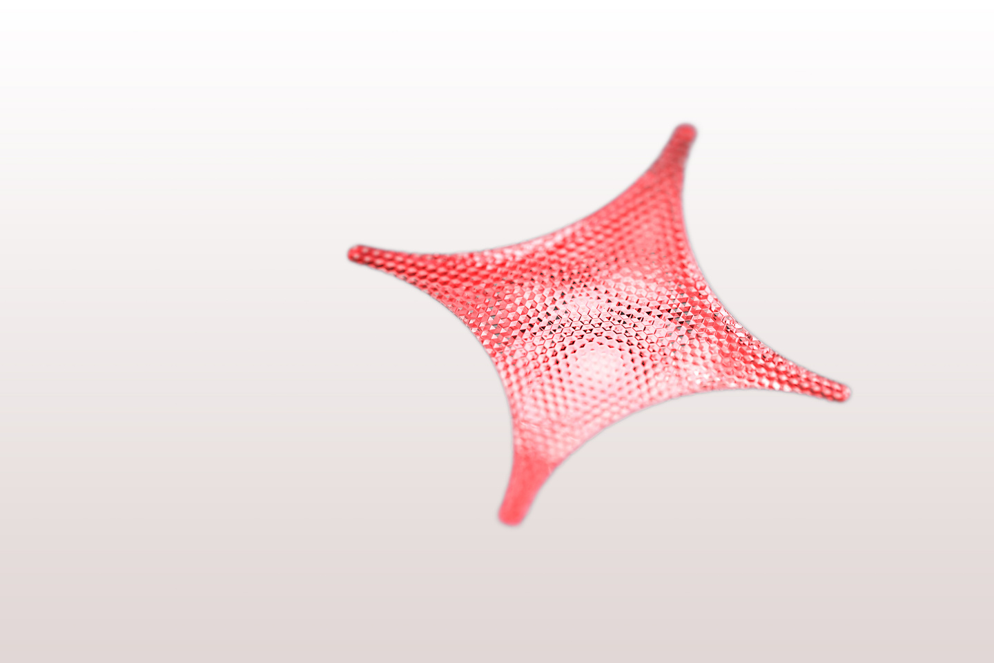 Red star-shaped graphic illustration on white background