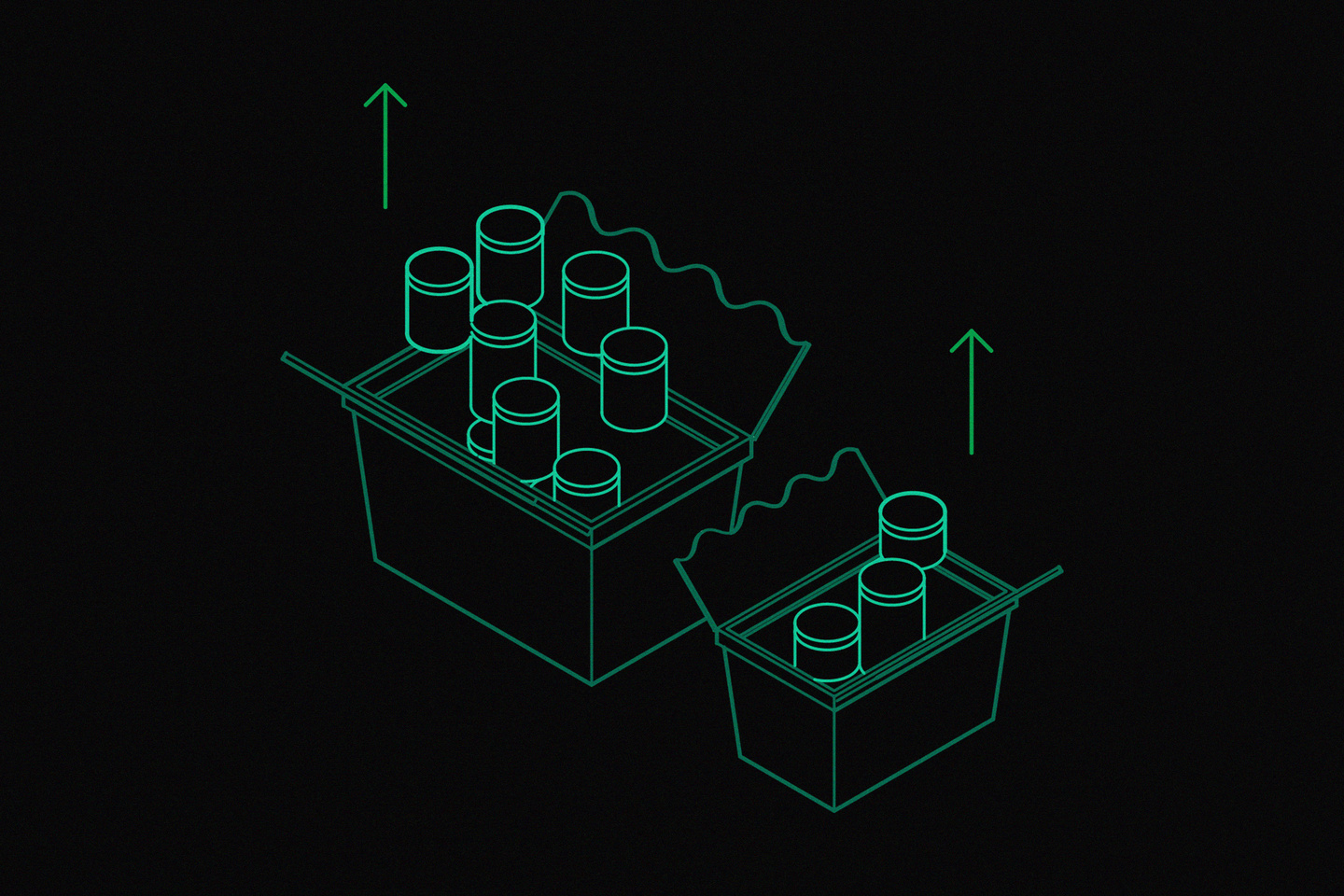 Green line wireframe CAD rendering of container structures on black.