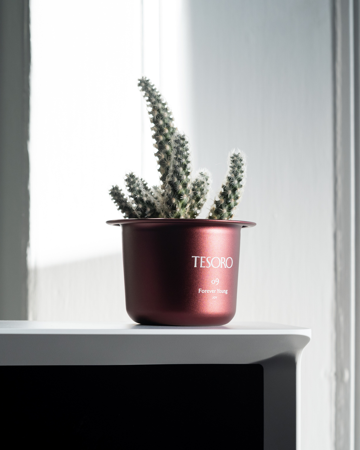 Deep red metallic candle vessel repurposed as a pot for a small succulent