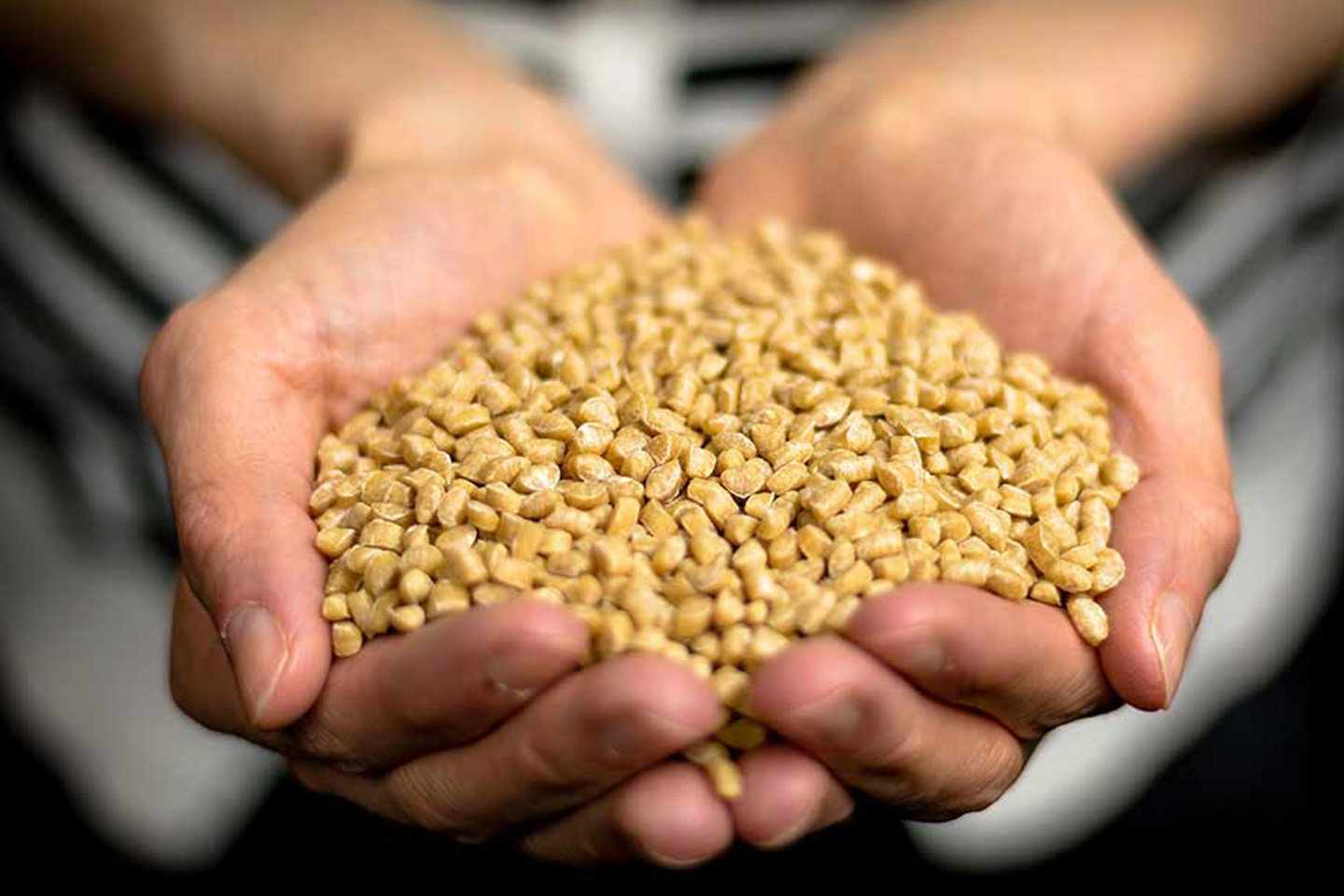 Cupped hands holding raw material pellets used for container manufacturing.