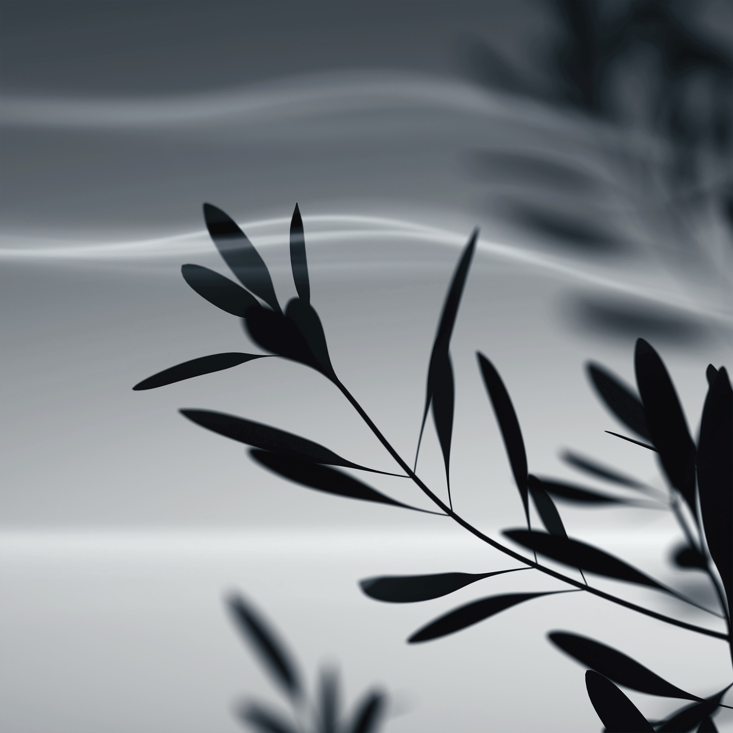 Dark silhouette of leaves and branches against a light backdrop